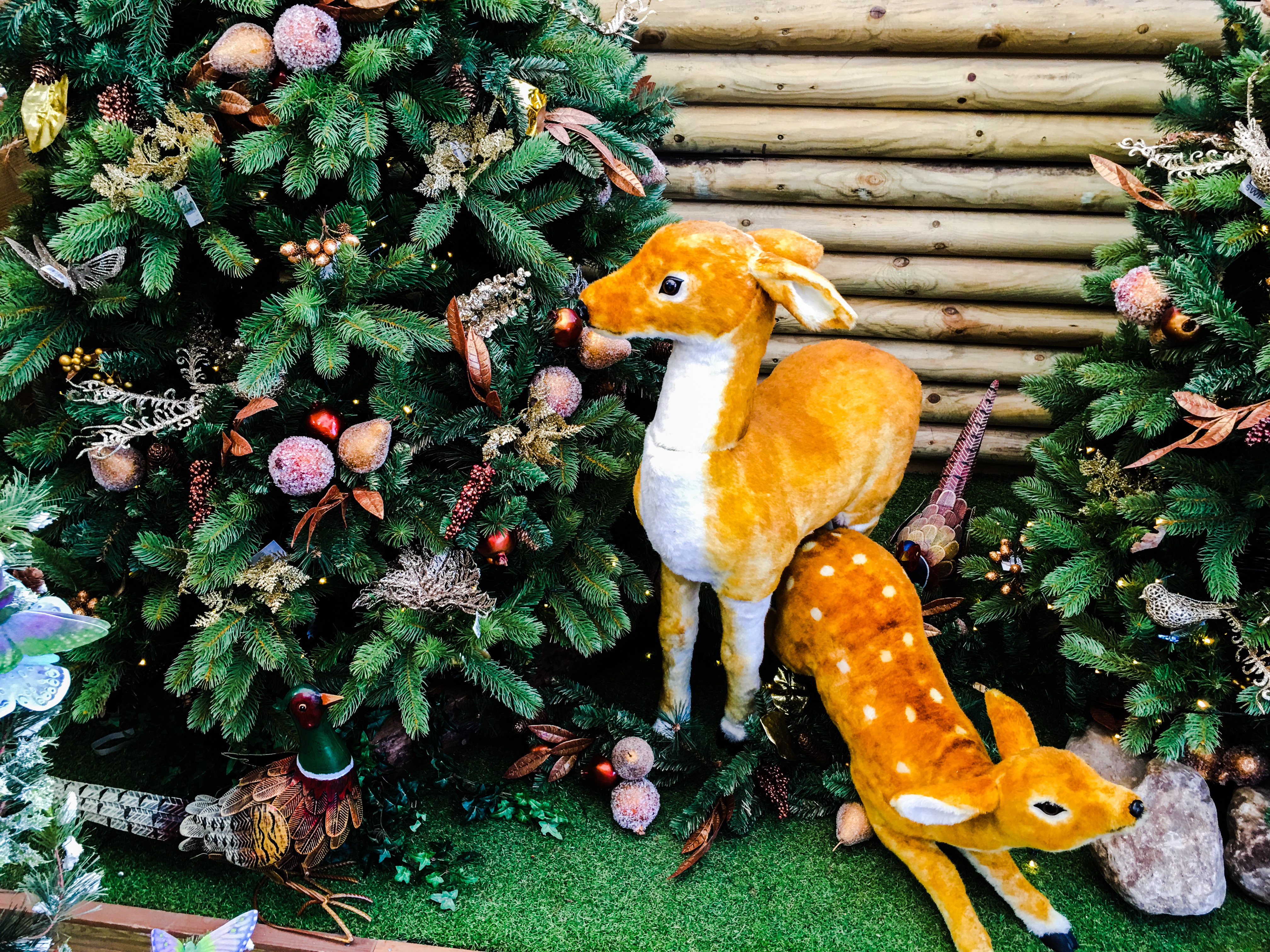 a christmas wonderland la voyage earl may christmas trees