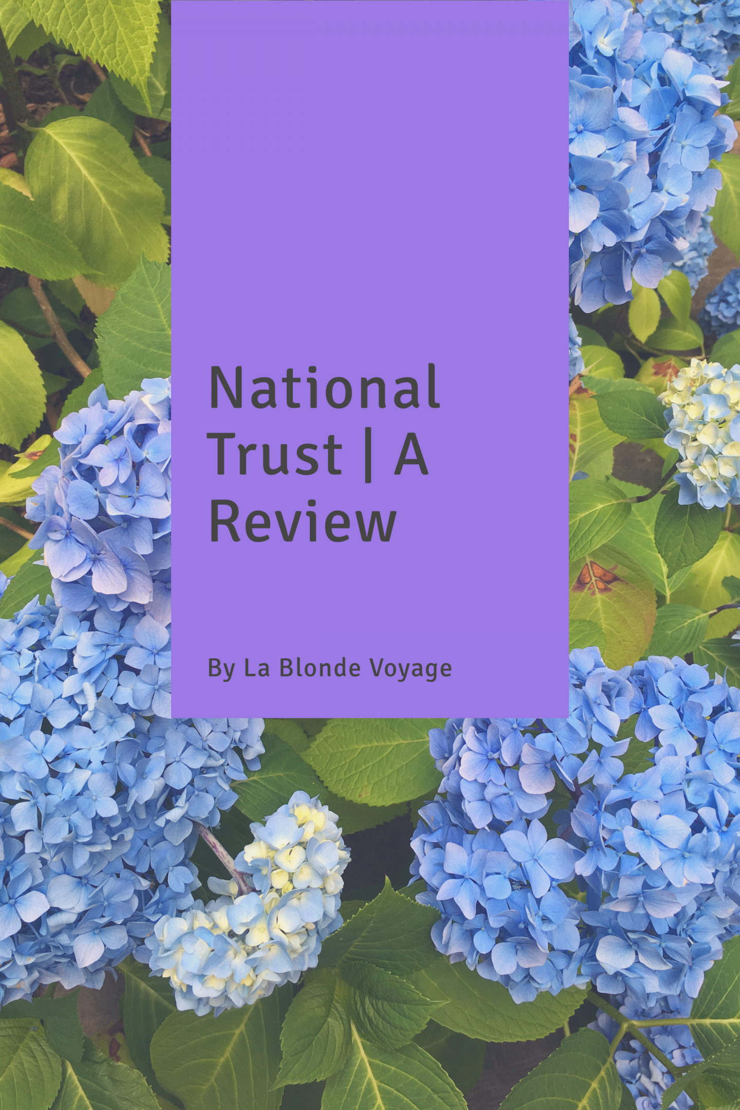 Nyman’s Garden: A National Trust Review
